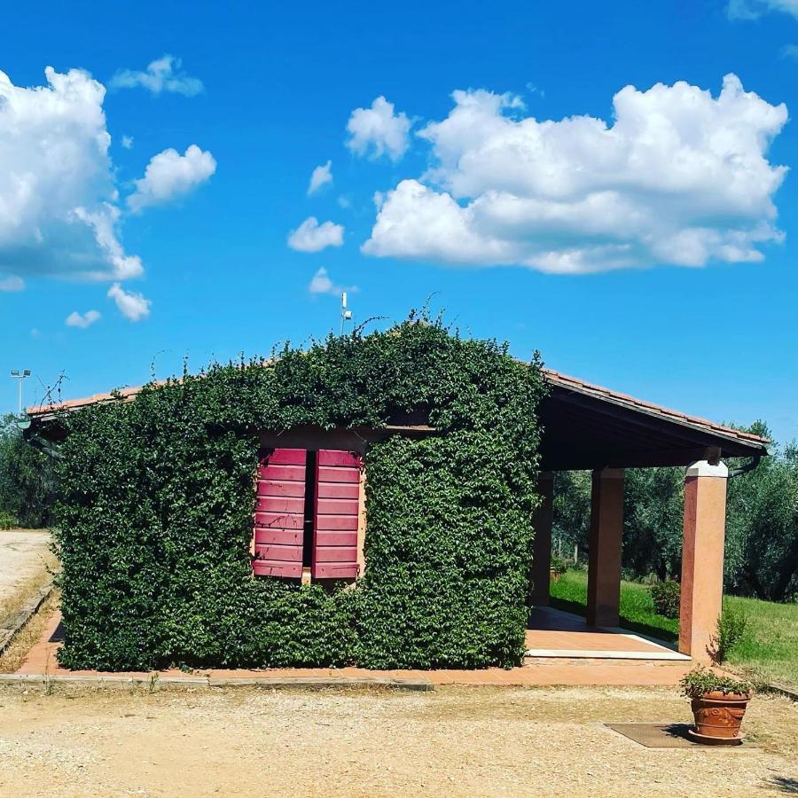 Villa Tenuta Agricola Fraschiera à Massa Marittima Extérieur photo
