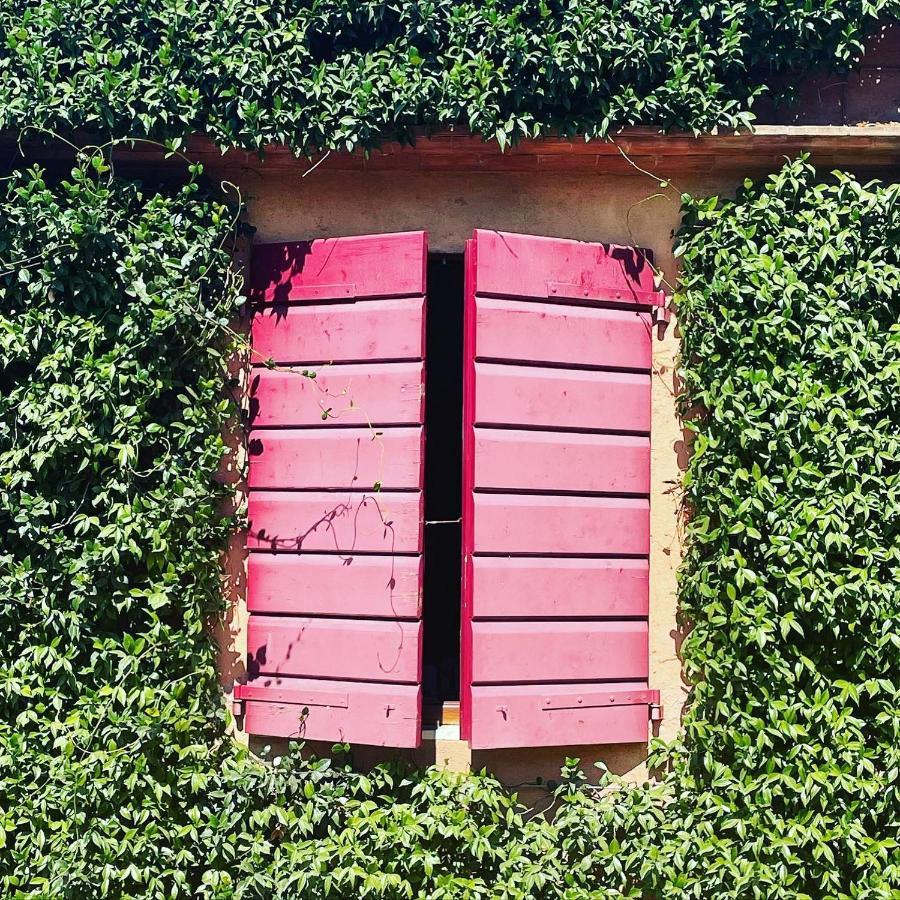 Villa Tenuta Agricola Fraschiera à Massa Marittima Extérieur photo