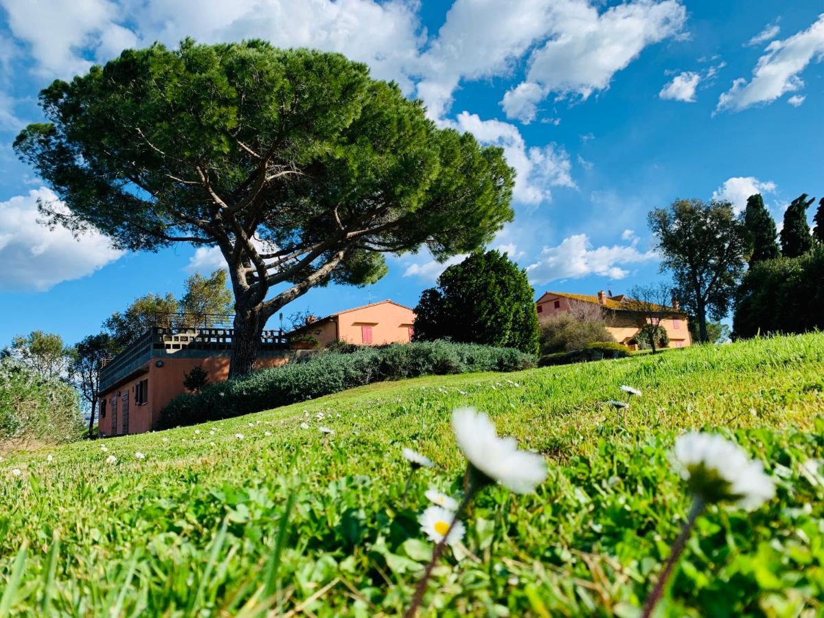 Villa Tenuta Agricola Fraschiera à Massa Marittima Extérieur photo