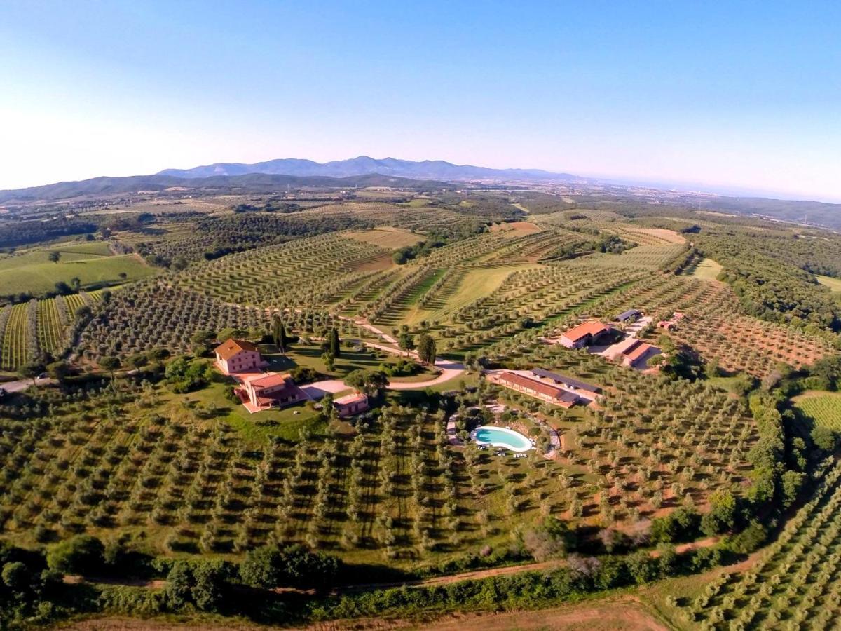 Villa Tenuta Agricola Fraschiera à Massa Marittima Extérieur photo