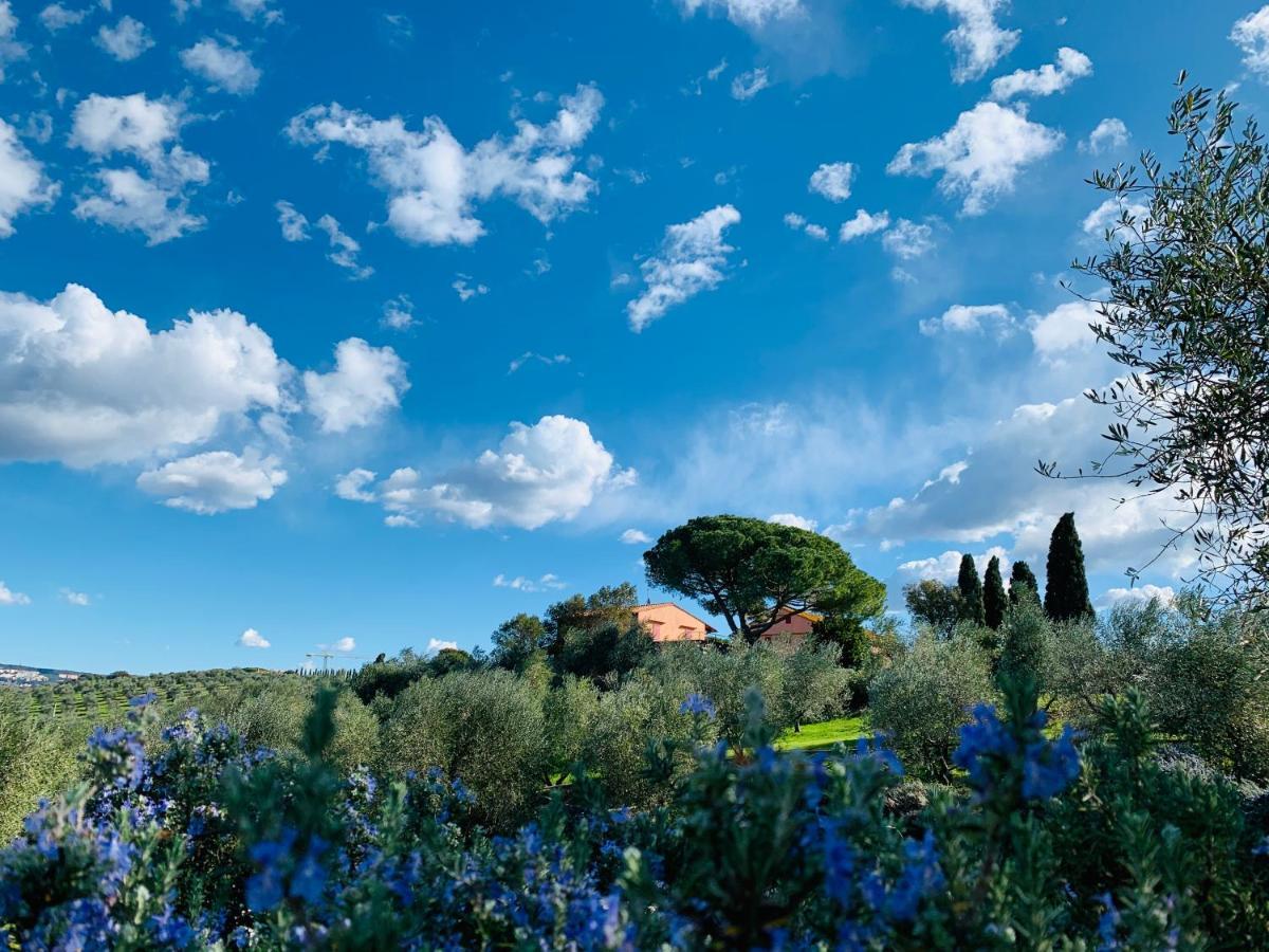 Villa Tenuta Agricola Fraschiera à Massa Marittima Extérieur photo