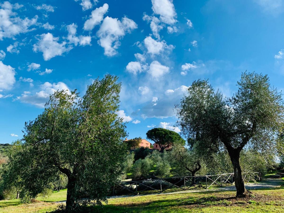 Villa Tenuta Agricola Fraschiera à Massa Marittima Extérieur photo