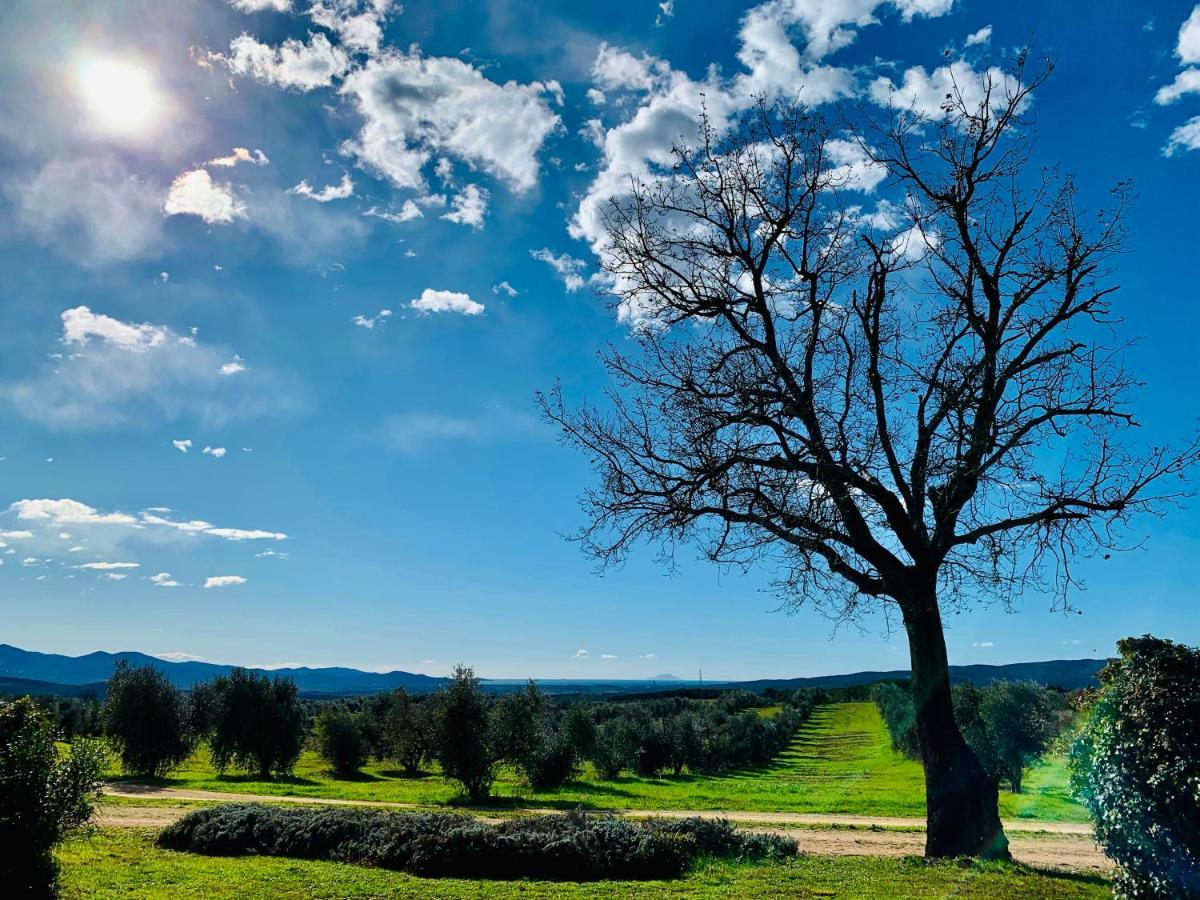 Villa Tenuta Agricola Fraschiera à Massa Marittima Extérieur photo