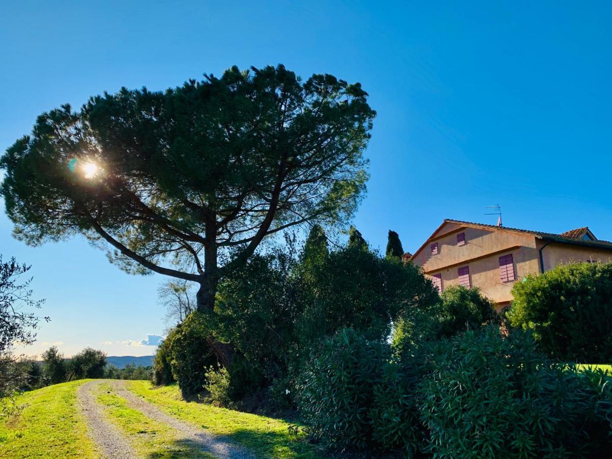 Villa Tenuta Agricola Fraschiera à Massa Marittima Extérieur photo