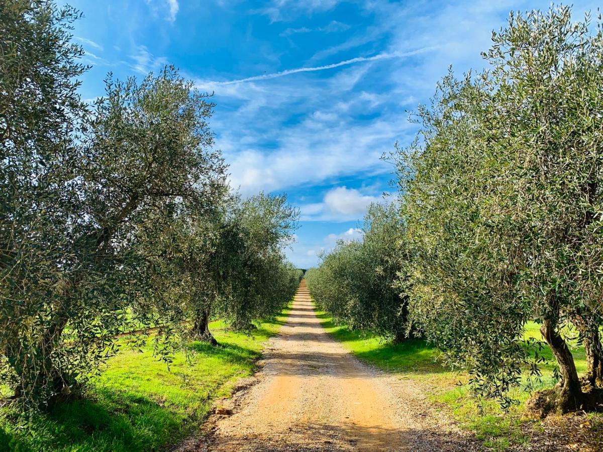 Villa Tenuta Agricola Fraschiera à Massa Marittima Extérieur photo