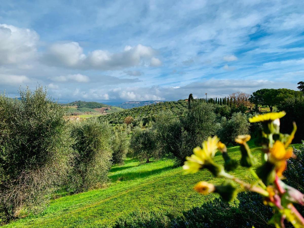 Villa Tenuta Agricola Fraschiera à Massa Marittima Extérieur photo