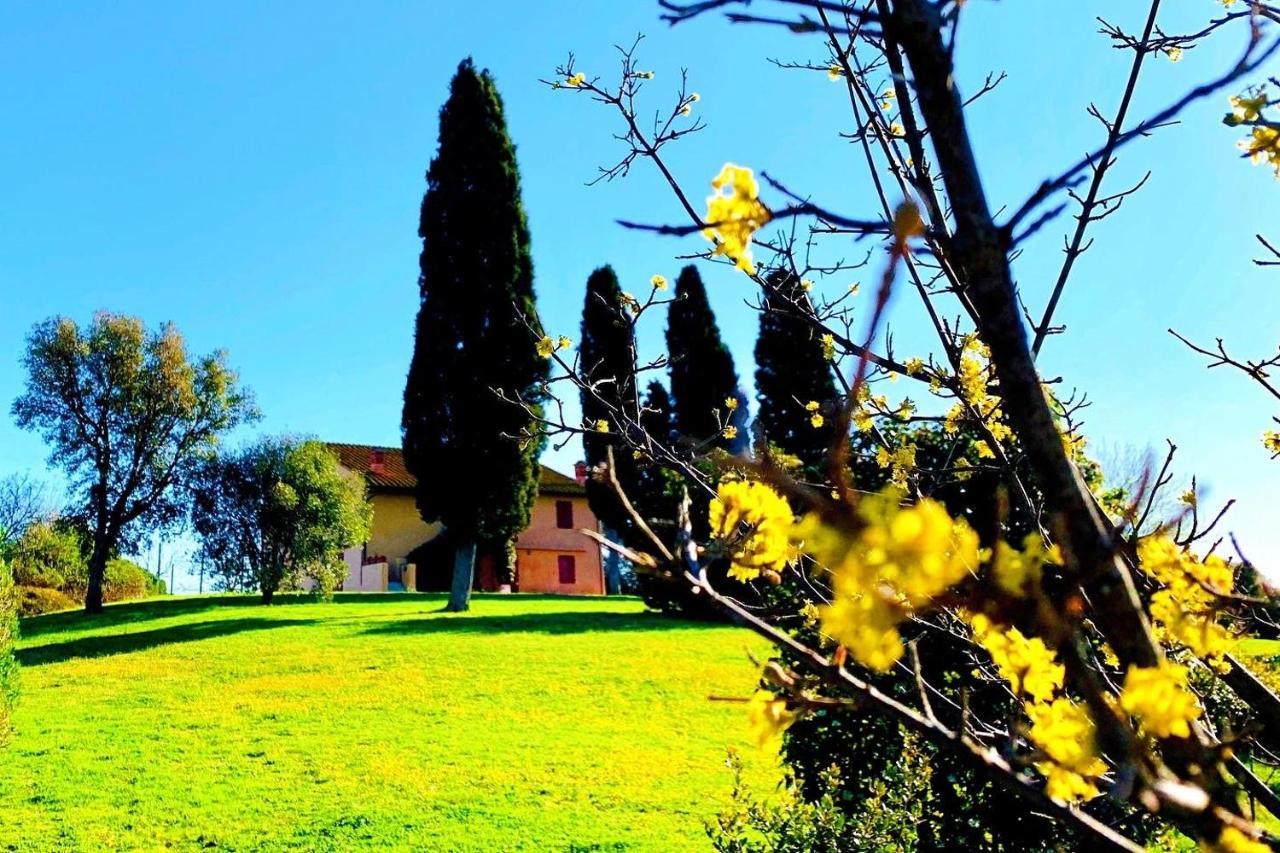 Villa Tenuta Agricola Fraschiera à Massa Marittima Extérieur photo
